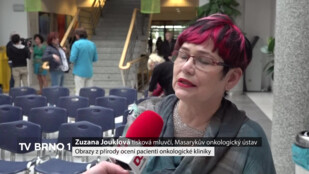 Obrazy z přírody ocení pacienti onkologické kliniky