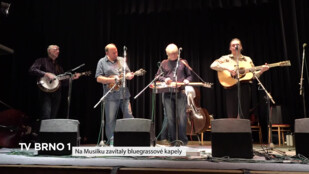 Na Musilku zavítaly bluegrassové kapely