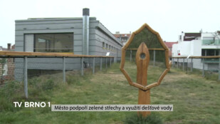 Město podpoří zelené střechy a využití dešťové vody