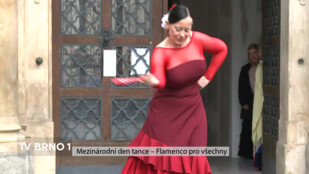 Mezinárodní den tance – Flamenco pro všechny