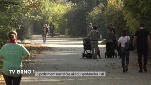 S podzimem nastal čas úklidu spadaného listí