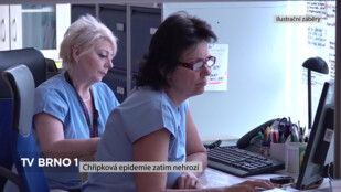 Chřipková epidemie zatím nehrozí