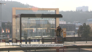 Brno kvůli ptákům polepí prosklené zastávky