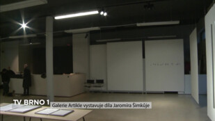 Galerie Artikle vystavuje díla Jaromíra Šimkůje