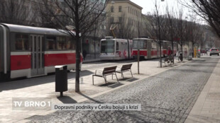Dopravní podniky v Česku bojují s krizí