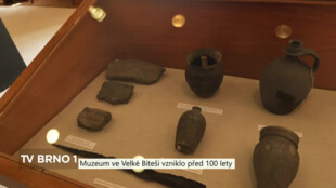 Muzeum ve Velké Bíteši vzniklo před 100 lety