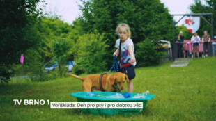 Voříškiáda: Den pro psy i pro dobrou věc