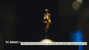 Věstonická venuše na minci i ve vitríně: Brno zahájilo výstavu Venuše100