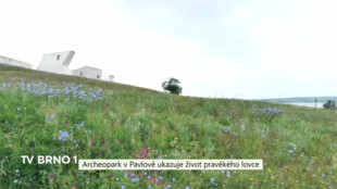 Archeopark v Pavlově ukazuje život pravěkého lovce