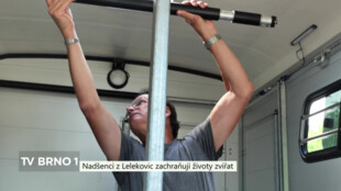 Nadšenci z Lelekovic zachraňují životy velkých zvířat