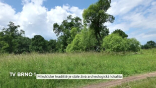 Mikulčické hradiště je stále živá archeologická lokalita