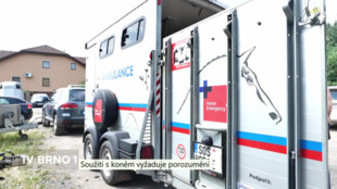 Soužití člověka s koněm vyžaduje porozumění