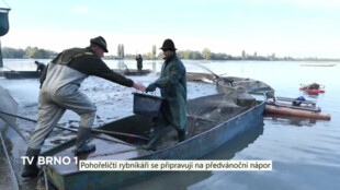 Pohořeličtí rybníkáři se připravují na předvánoční nápor
