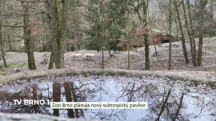 Zoo Brno plánuje nový subtropický pavilon