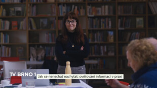 Jak se nenechat nachytat: ověřování informací v praxi