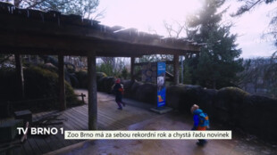 Zoo Brno má za sebou rekordní rok a chystá řadu novinek