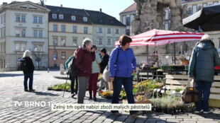 Zelný trh opět nabízí zboží malých pěstitelů