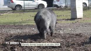 Jižanský dvorek funguje v Brně už od roku 2009