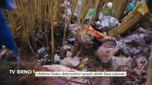 Ukliďme Česko: dobrovolníci vyrazili uklidit Starý Lískovec
