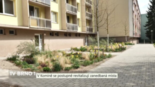 Městská část Brno-Komín postupně revitalizuje zanedbaná místa