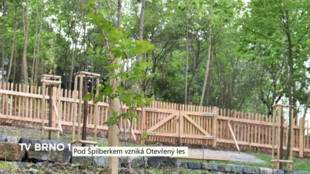 Pod Špilberkem budou lidé brzy moci navštívit Otevřený les