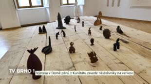 Terapie venkovem - to je název výstavy v Domě pánů z Kunštátu