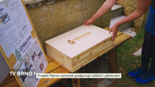 Projekt Patron semínek podporuje sdílení i pěstování