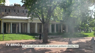 Městská část Brno-střed bojuje proti potkanům