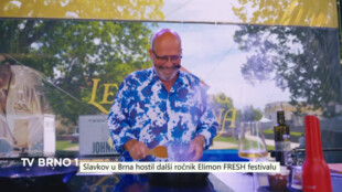 Slavkov u Brna hostil další ročník Elimon Fresh Festivalu