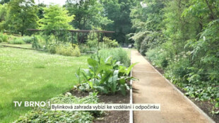 Bylinková zahrada Masarykovy univerzity vybízí ke vzdělání i odpočinku