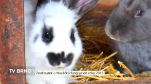 Zookoutek u Nováčků funguje od roku 2013