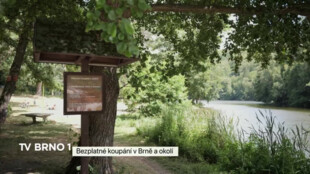 Bezplatné koupání v Brně a okolí