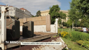 Tropická vedra mění péči o brněnskou zeleň