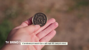 V brněnských lesích lze v září najít 90 zlatých mincí