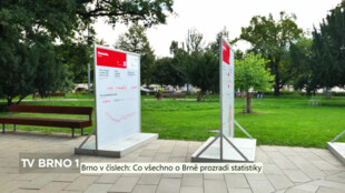 Brno v číslech: Co všechno o Brně prozradí statistiky