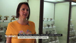 Letošní sezóna houbařům příliš nepřeje