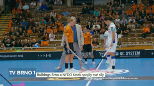Bulldogs Brno a NFDO Krtek spojily své síly