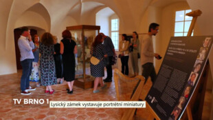 Lysický zámek vystavuje portrétní miniatury