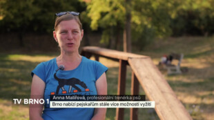Brno nabízí pejskařům stále více možností