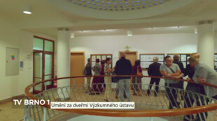 Umění za dveřmi Výzkumného ústavu
