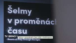 Šelmy v proměnách času ožily v Anthroposu