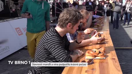 Týden na B1 z Jížní Moravy