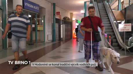 Týden na B1 z Jižní Moravy