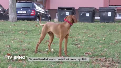 Týden na B1 z Jižní Moravy