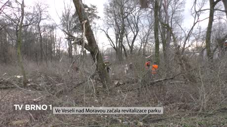Týden na B1 z Jižní Moravy