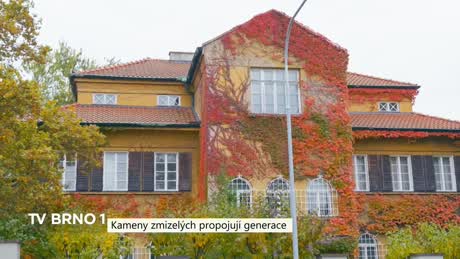 Zprávy